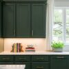 Custom_Cabinets_East_Montgomery_…_202605110521 100x100